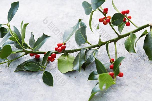 <strong>圣诞</strong>节装饰,冬青树叶和红色的浆果.
