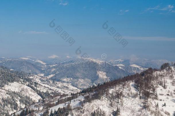 全景画关于一雪大量的多树木的mount一in