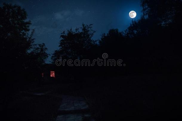 山夜风景关于建筑物在森林在夜和哞