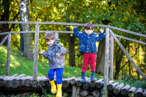 两个兄弟们兄弟男孩小孩人行横道小的木制的桥采用