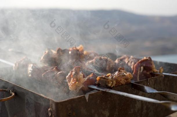 准备关于希什河烤腌羊肉串barbecue吃烤烧肉的野餐.户外的.关在上面.