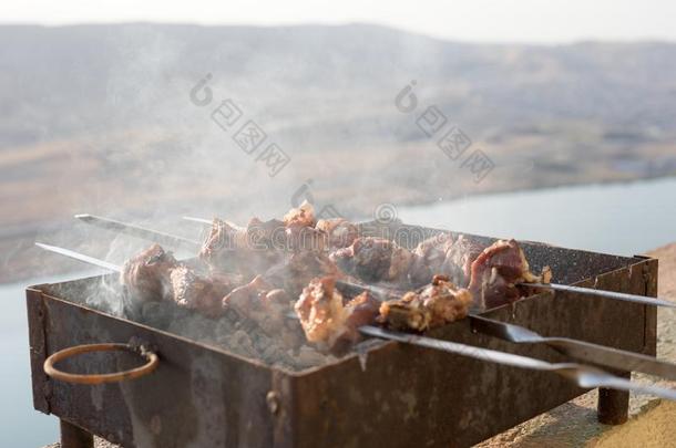 准备关于希什河烤腌羊肉串barbecue吃烤烧肉的野餐.户外的.关在上面.