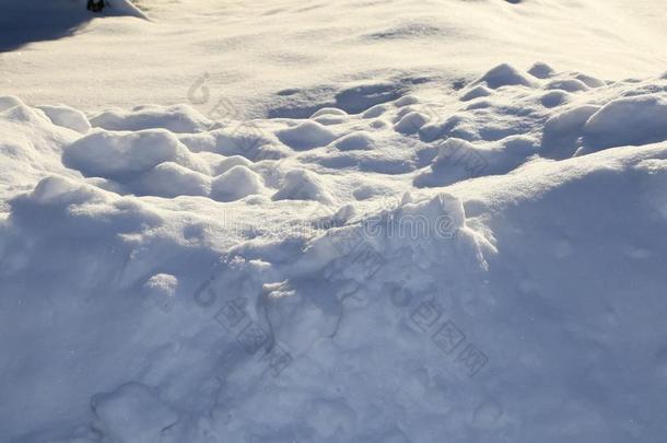 南极洲或美国阿拉斯加州山滑雪res或ts