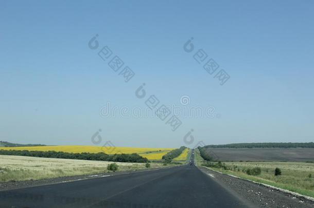 光滑的路.自然的风景.盛开的田在指已提到的人地平线.Turkey土耳其