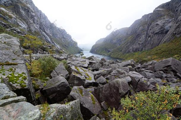 海藻属,岩浆地质公园.贝尔山谷.罗格兰县.norwegisc挪威的