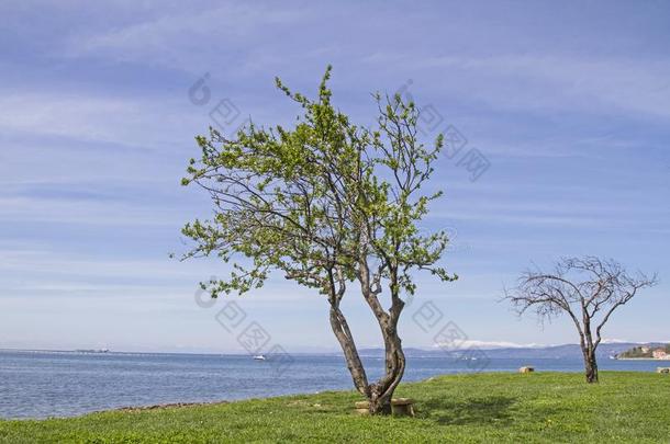 斯洛文尼亚人假日描写田园生活的短诗在安卡兰