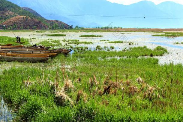 小船采用草海湖