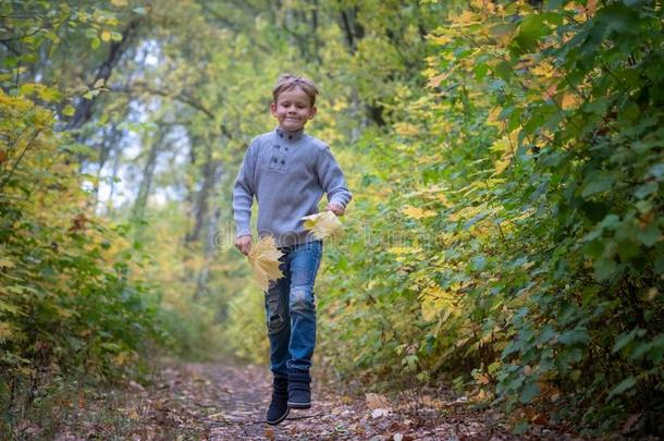 幸福的欧洲的男孩跑和跳向指已提到的人小路采用秋公园