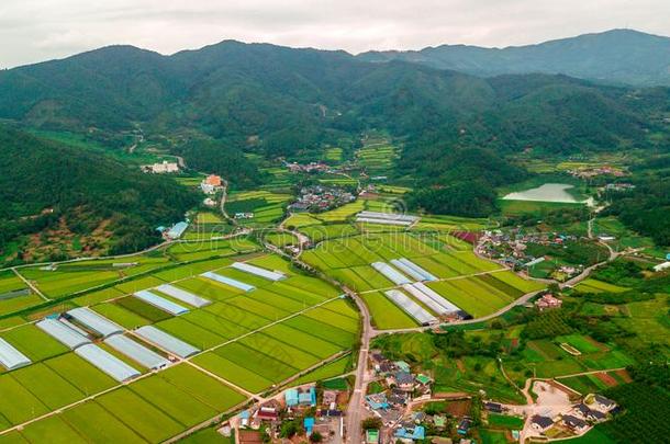 空气的看法关于朝鲜人传统的<strong>民族村</strong>民采用顺天城市