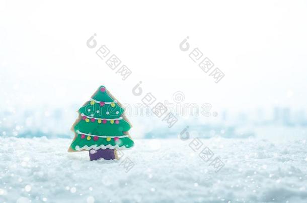 圣诞节节日概念总念和松树树饼干向雪