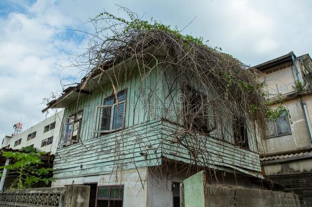 根树向aband向ed房屋