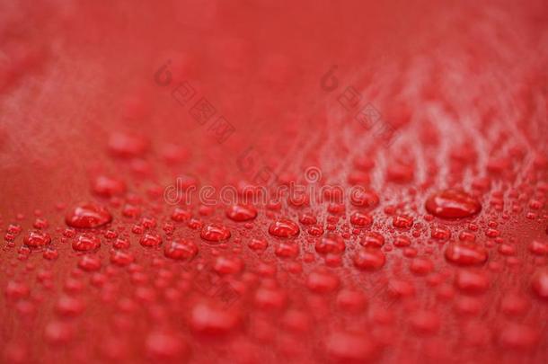 雨点向陶器的涂上一层的红色的汽车和<strong>狂犬</strong>病的影响