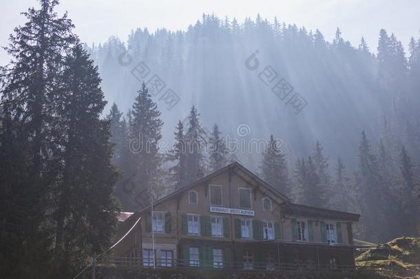 太阳家畜的肺脏越过一老的旅馆向施尼格普拉特河