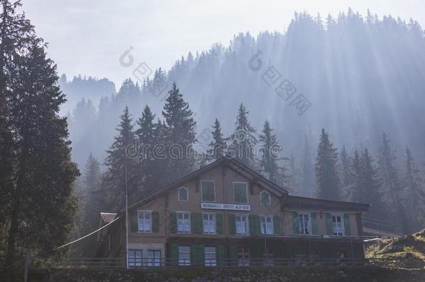 太阳家畜的肺脏越过一老的旅馆向施尼格普拉特河