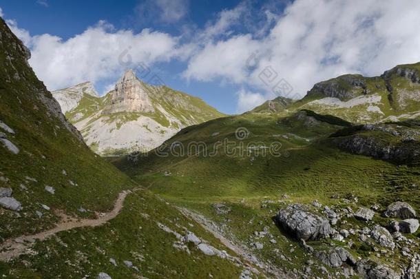 入径向Romania罗马尼亚Ã头山峰采用Romania罗马尼亚fanalkali-treatedlipopolysacchar