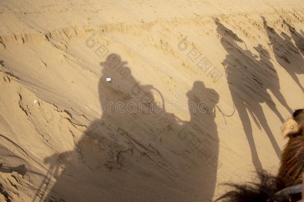 阴影关于在骆驼骑的人向沙丘关于唱歌沙山,Takamatsu