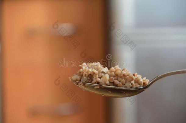 勺关于蓼科荞麦属,勺关于力量