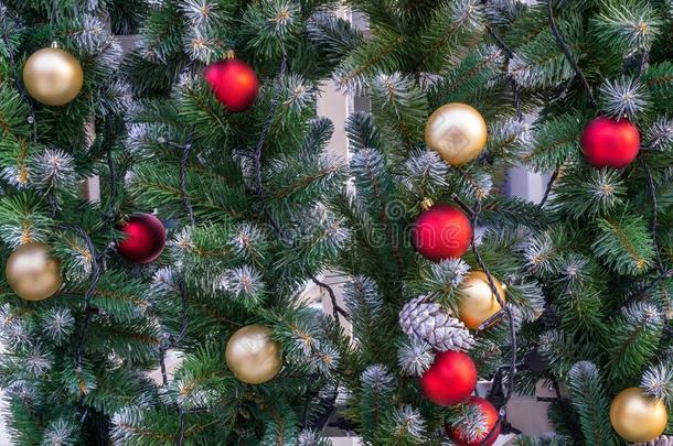 圣诞节装饰向衣着整洁的树