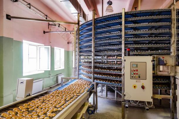 自动化的圆形的<strong>运送</strong>者机器采用面包房食物工厂,甜饼干