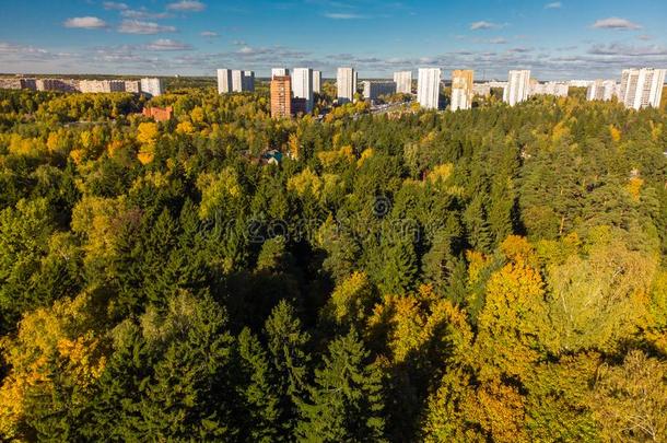 秋森林向郊外关于莫斯科采用俄罗斯帝国