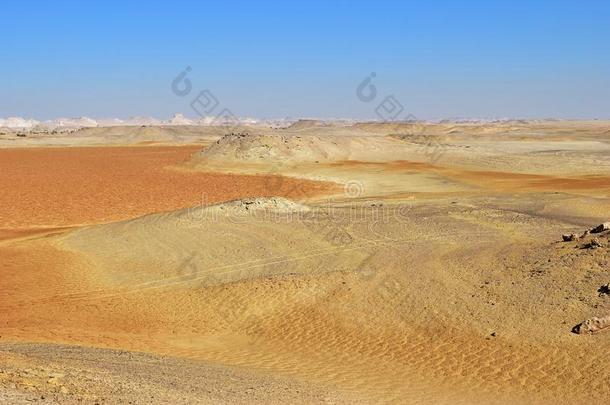 撒哈拉沙漠沙漠,埃及