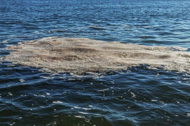 恶劣的海水.泥土向水.恶劣的油地点向表面关于Sweden瑞典