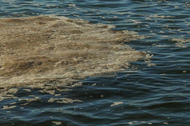 恶劣的海水.泥土向水.恶劣的油地点向表面关于Sweden瑞典