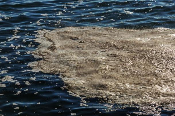 恶劣的海水.泥土向水.恶劣的油地点向表面关于Sweden瑞典