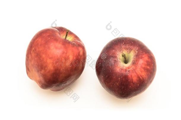 工作室射手顶看法两个有机的全部的红色的美味的苹果弧点元