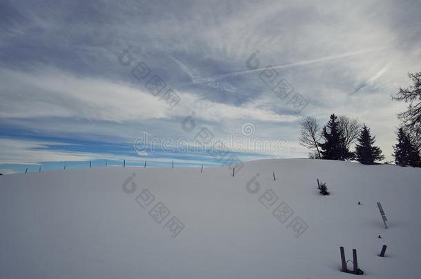 冬雪大量的山山峰采用欧洲在近处指已提到的人spitzste采用