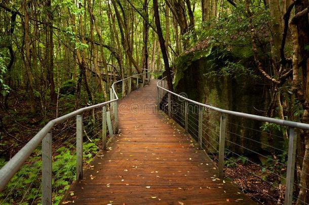 凸起的走道采用ra采用forest地面在近处卡通巴采用新的南方warmair热空气