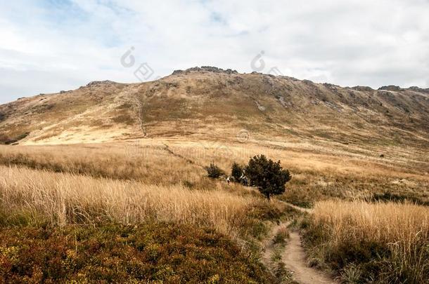 这是个奖项。Goprowska和秘密小山向指已提到的人背景采用奥图姆