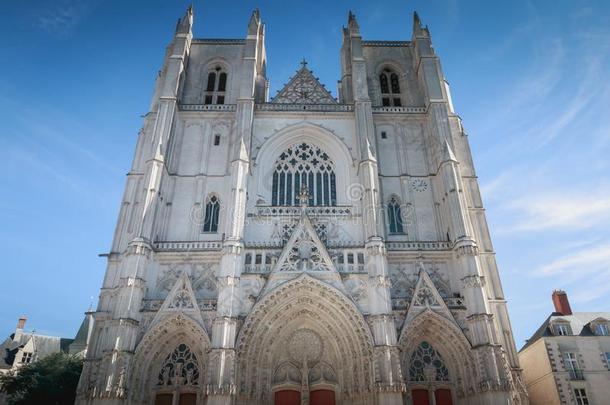 建筑学的详述关于圣人般的人皮埃尔总教堂采用南特