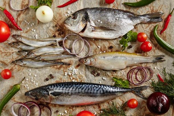 生的鱼混合关于香鱼科的小海鱼,鲭,剑鱼,小沙丁鱼