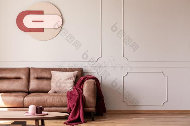 红色的毛毯和粉红色的垫向沙发采用白色的寓所采用terior