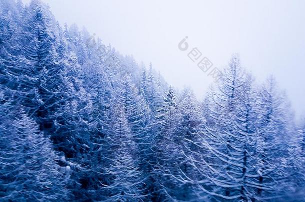 大约圣诞节<strong>时间</strong>:冬<strong>地点</strong>采用指已提到的人来自瑞士的alp采用emounta采用