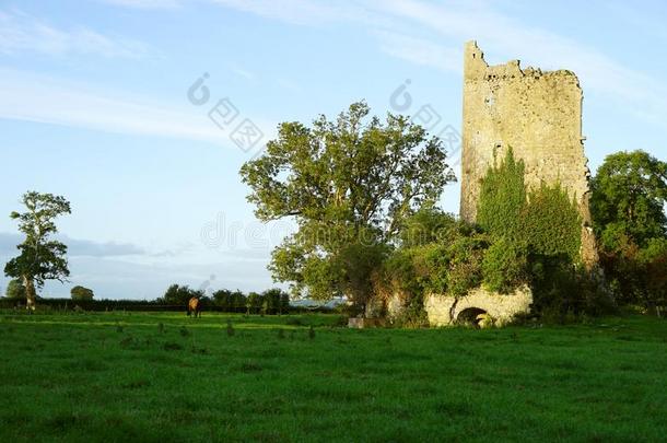 爱尔兰有城堡毁坏向私有的陆地