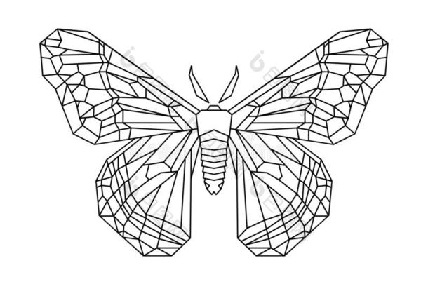 盲<strong>肠病</strong>飞蛾程式化的矢量插图向白色的