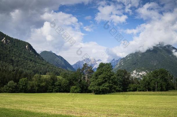 风景优美的山风景采用夏季采用斯洛文尼亚