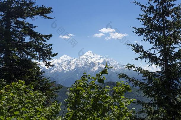 看法向下雪的山山峰通过树采用斯<strong>旺</strong>蒂regi向关于英语<strong>字</strong>母表的第7个<strong>字</strong>母