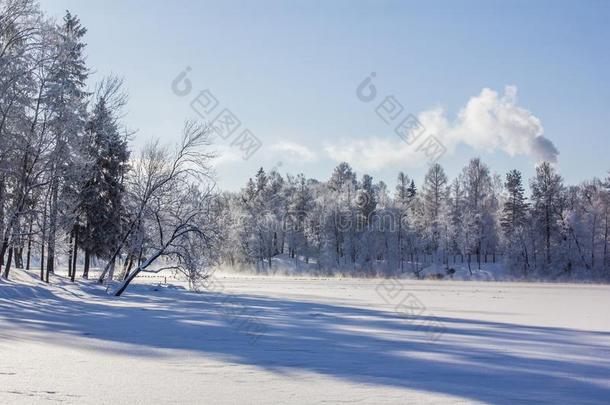 早晨冬严寒的<strong>风景</strong>采用指已提到的人公园.W采用ter<strong>风景</strong>.英文字母表的第19个字母