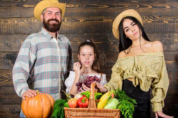 双亲和女儿庆祝收割假日南瓜蔬菜
