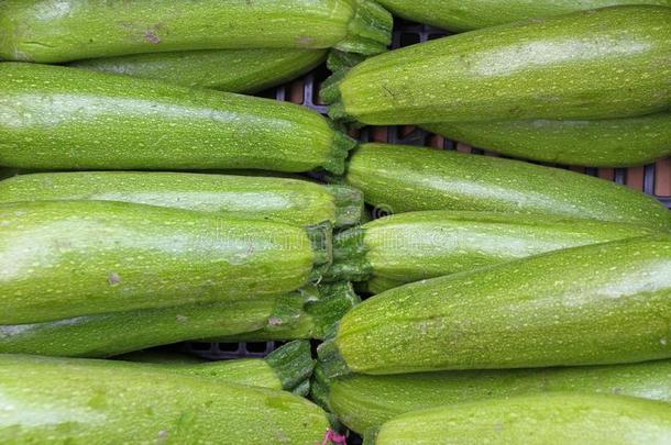 夏季产南瓜之一种.新鲜的夏季产南瓜之一种,绿色的蔬菜向地方的农场主马克Mark的变体