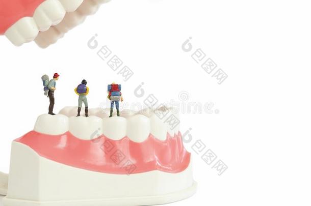 背包小型的人和牙齿的模型