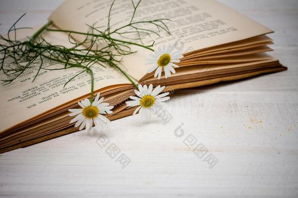 酿酒的书和花束关于花.