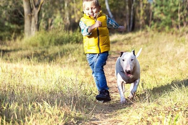 小的男孩和他的最好的朋友,一白色的英语公牛小猎狗