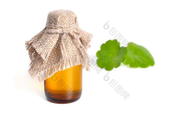 制药的瓶子和哥杜可乐果树树叶向背景.伊索拉