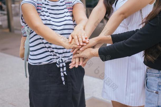 组关于女人人成功的教育大学手坐标