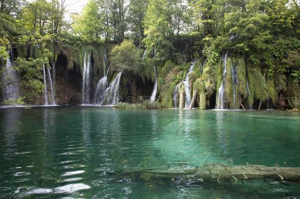 普利特维湖自然的公园采用克罗地亚