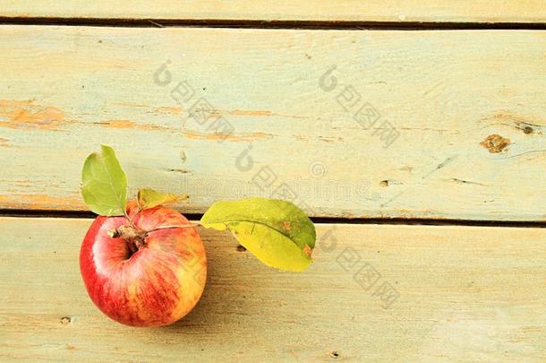美味的苹果收割采用秋表示